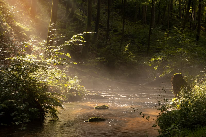 Embodied Flow